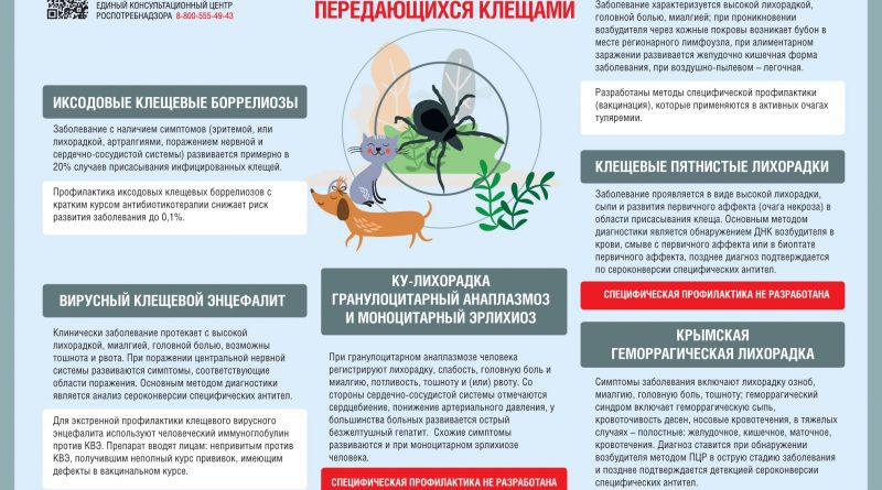 Об инфекциях, передающихся клещами